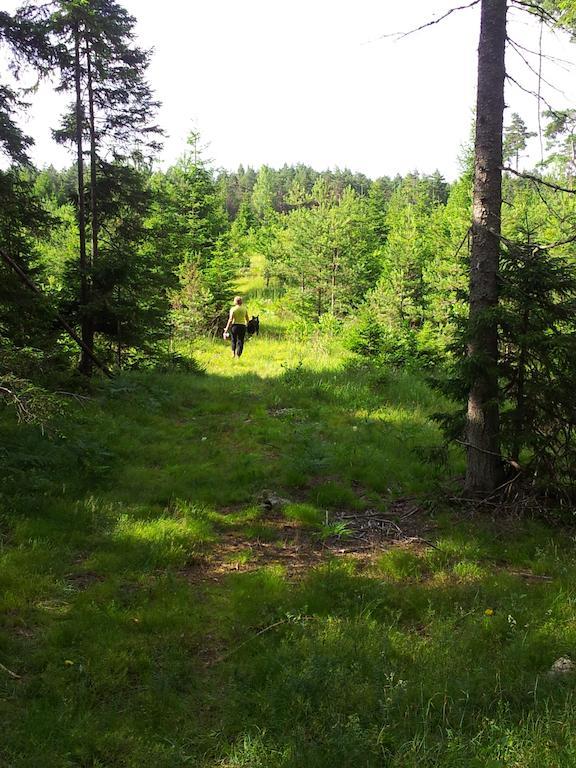 Maenniste Holiday Home Hiievalja Cameră foto