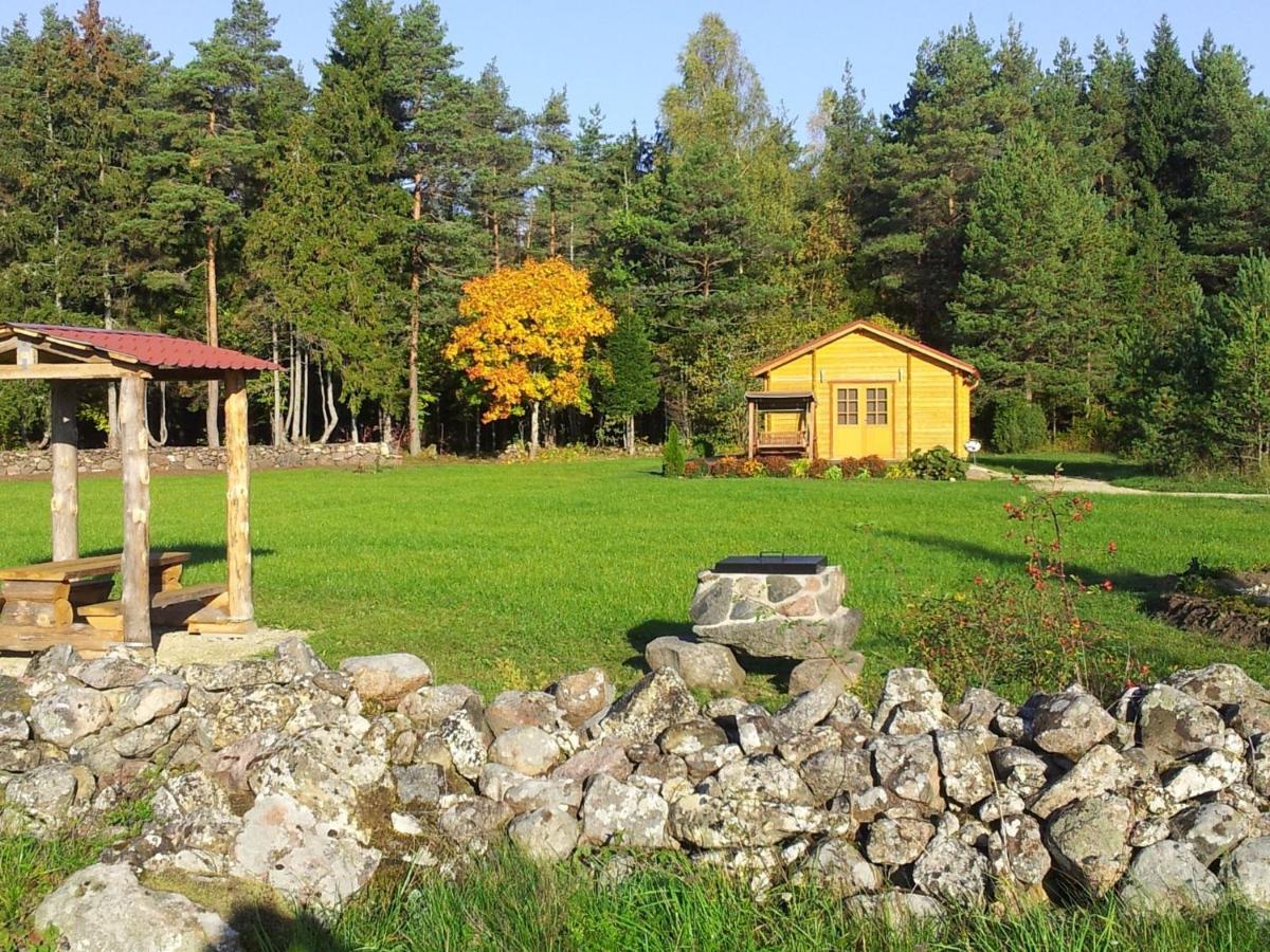 Maenniste Holiday Home Hiievalja Cameră foto